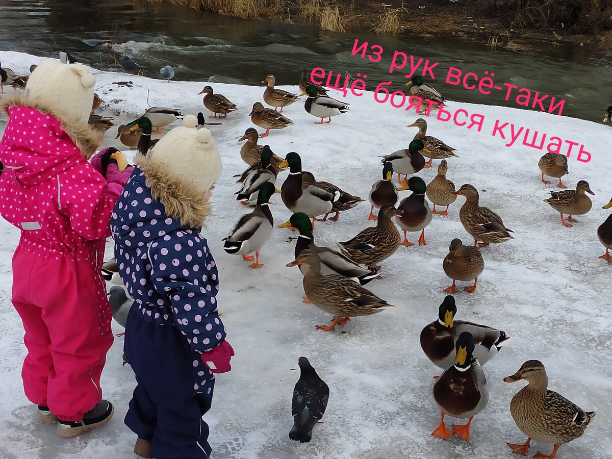 Только здесь нашли немного снега...