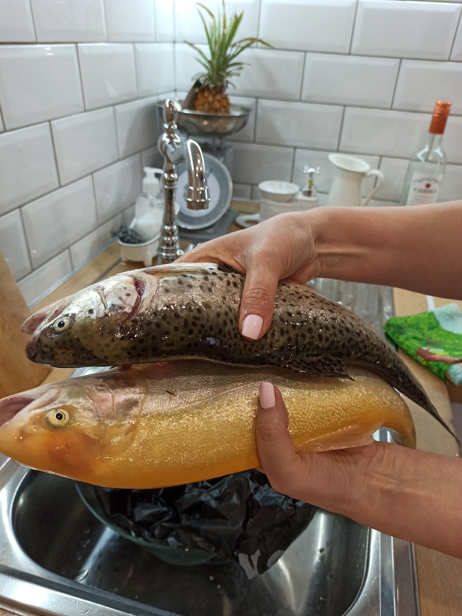 Наш улов