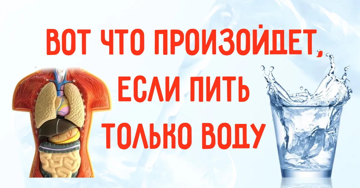 Только вода. Почему полезна Талая вода для организма. Что будет если целый день только пить напитки. Разгрузочный день на воде плюсы и минусы ученых