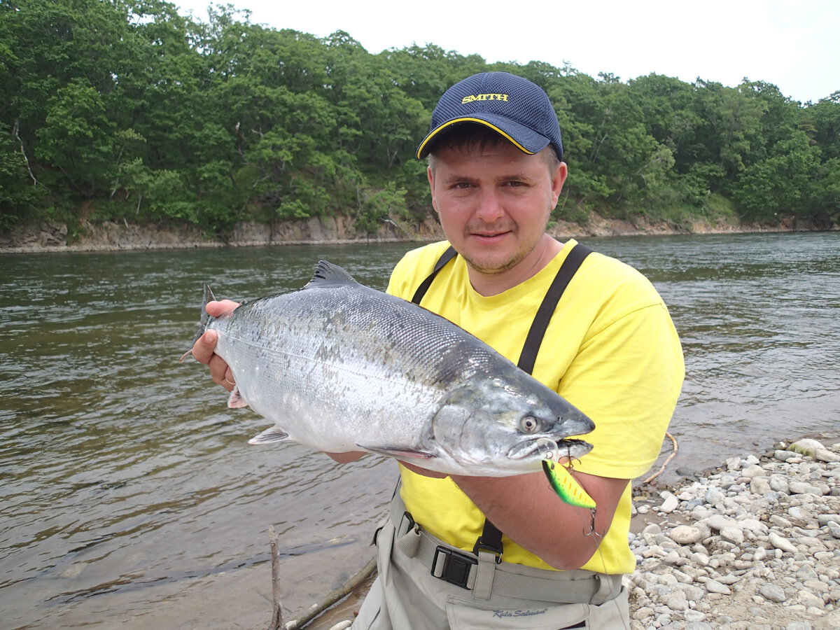 Лосось, пойманный на D-Contact