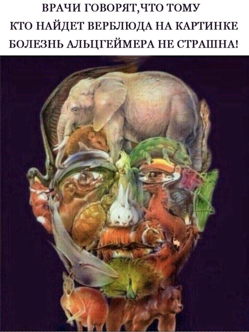 Фото из интернета 