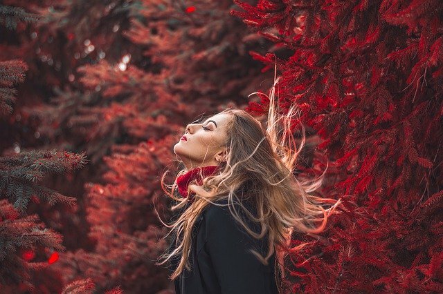 Pixabay License Бесплатно для коммерческого использования 
Указание авторства не требуется