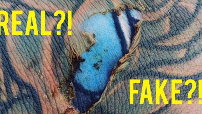 
В 2018 году фотография появилась на Reddit. На снимке был виден ожог, связанный с кухней, на чьей – то руке-но не было никакого сочувствия. Пользователи Reddit были слишком заняты борьбой за то, насколько реально все это было. Рука была украшена татуировкой с изображением Голубой розы. Выцветший цвет говорил о том, что это искусство было старым. Но под обожженной кожей, где откололись кусочки, появилась другая часть татуировки. Оно было таким ярким, что синева казалась только что нанесенной чернилами.