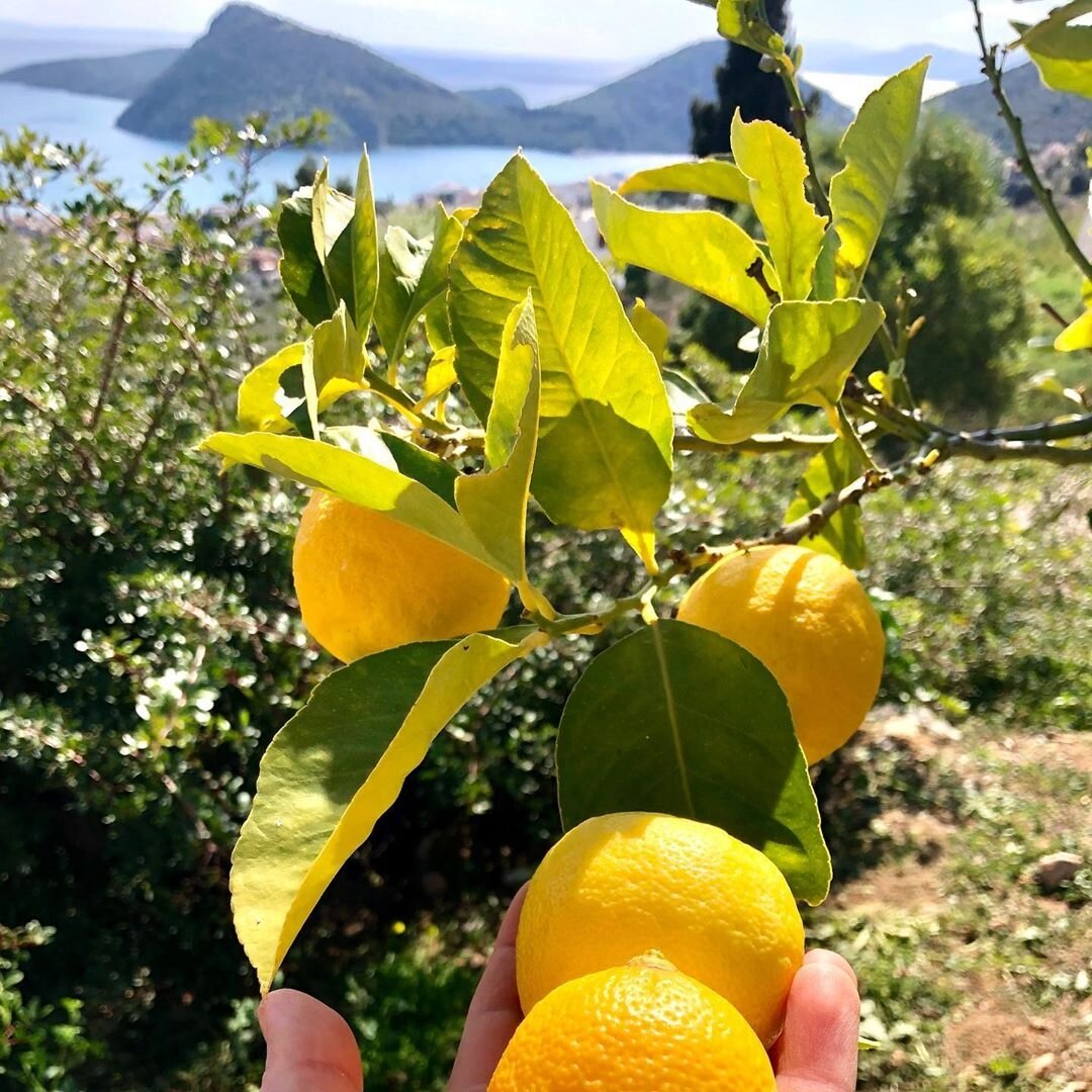 Фото соц сети 