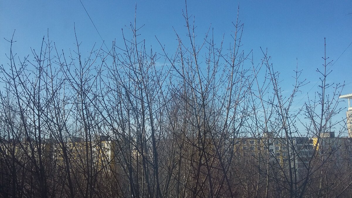 Фото автора.