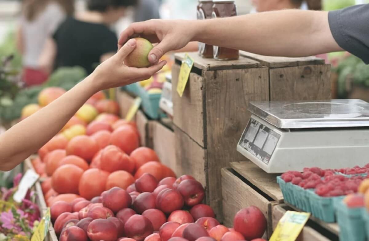 Фото: pixabay.com