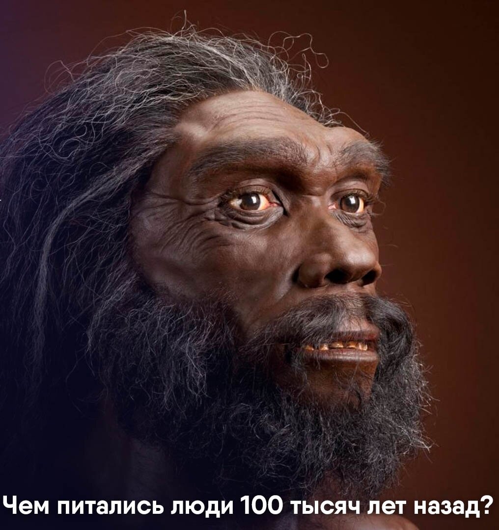 Homo heidelbergensis. Хомо гейдельбергенсис. Гейдельбергский человек. Дейделберский человек. Homo Heidelbergensis реконструкции.