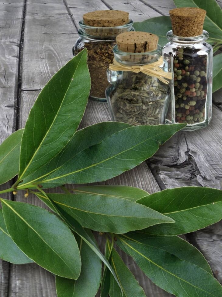 Фото из интернета