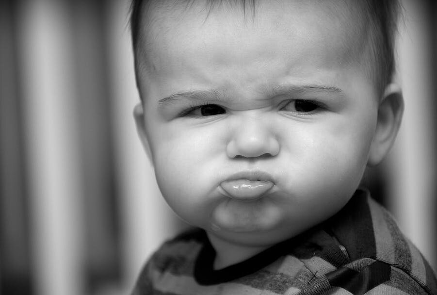 Источник Яндекс фото