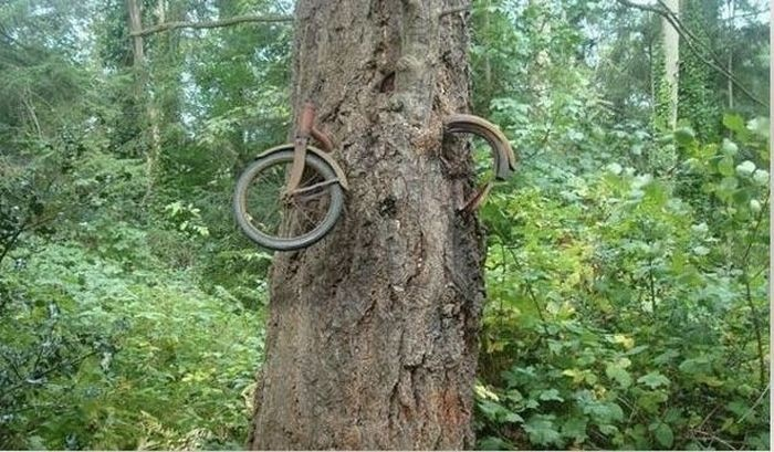 Фотошоп или реальность?