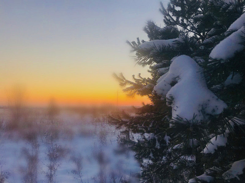 оказывается зимой даже снег белый