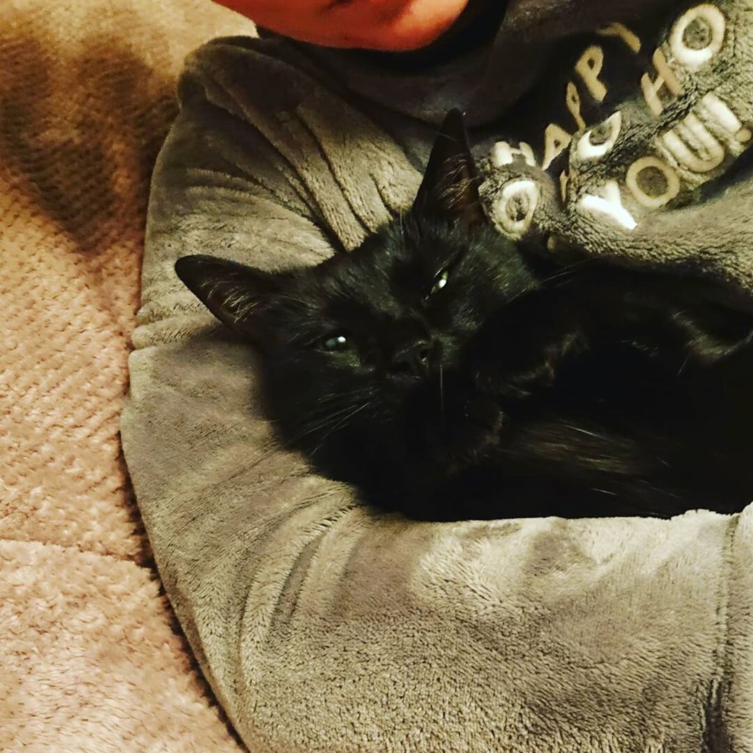 Милый дом  - там где котику хорошо :)