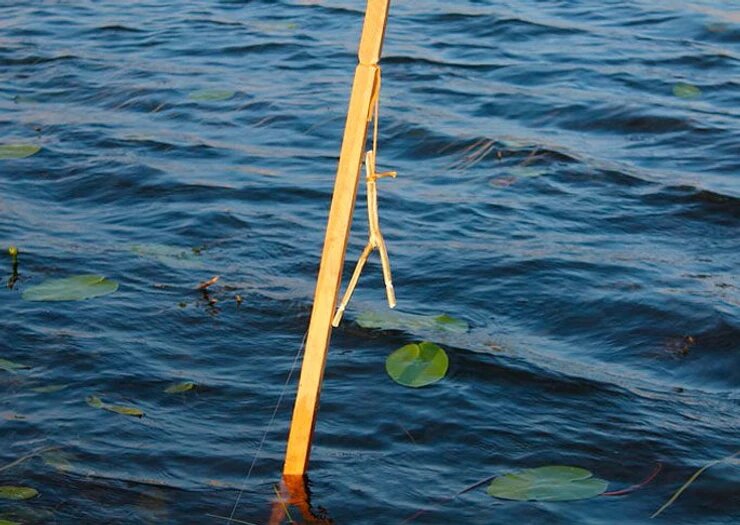 Жерлица - рогатка на боевом посту, кажется, кого - то задержала