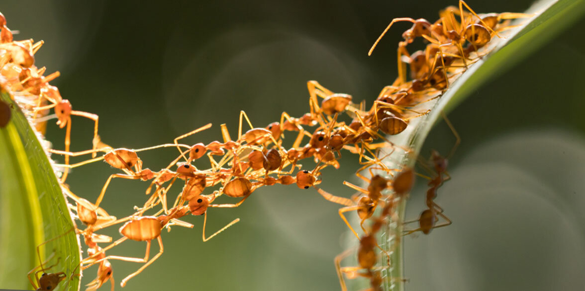 Буду благодарна, если подпишетесь на канал и поставите лайк. Так вы поможете развитию канала.