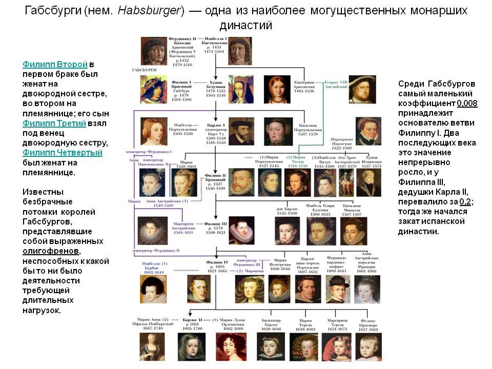 Древо Габсбургов