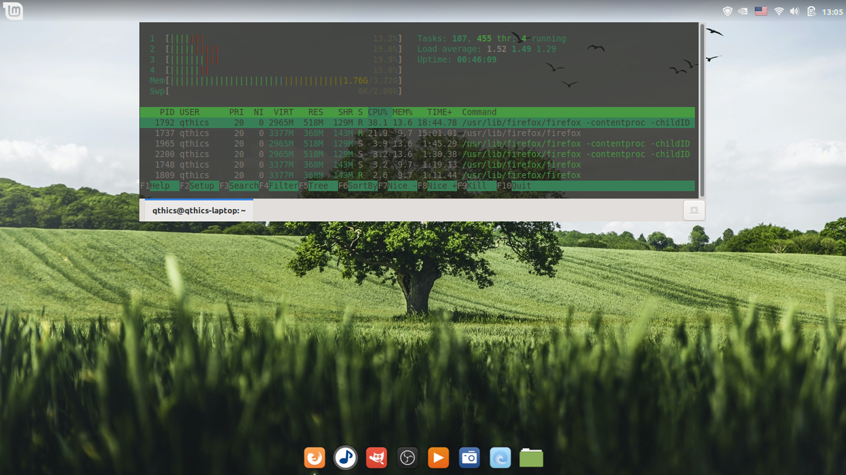 Linux Mint 20