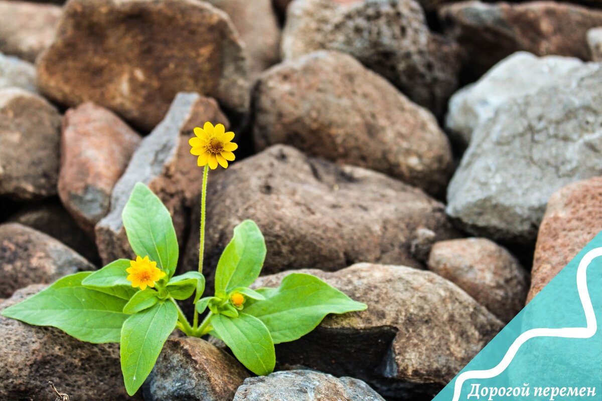 Привычка формируется постепенно