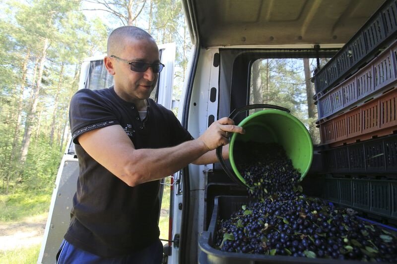 Предпринял и заработал!