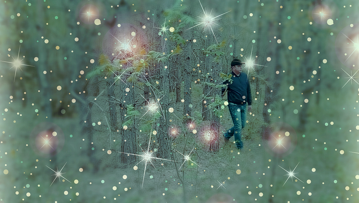 Волшебный лес. Фото автора.