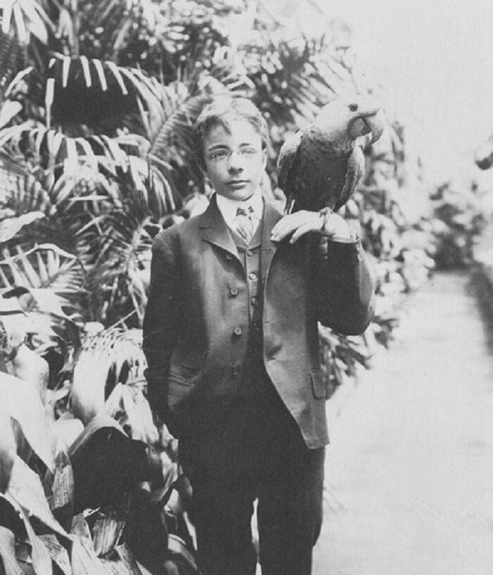 Теодор Рузвельт со своим попугаем Эли.