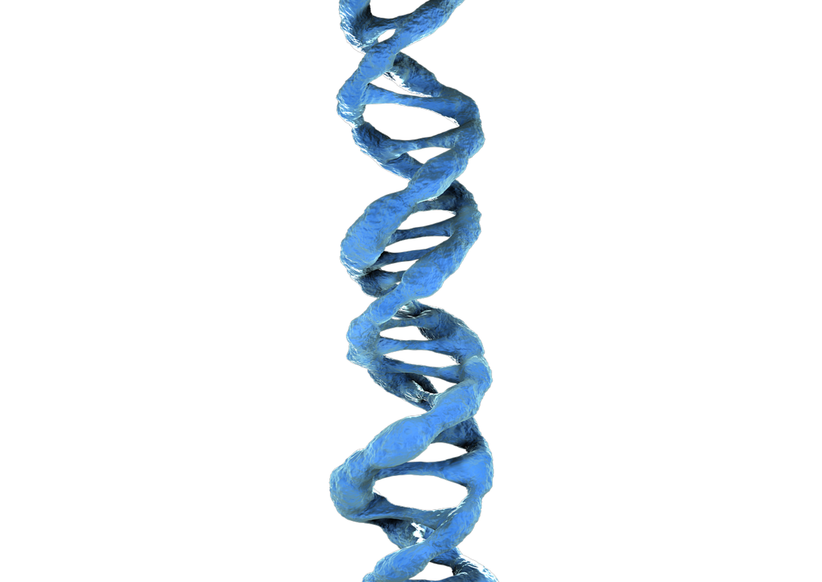 ДНК. Цепочка ДНК. Ген без фона. ДНК на прозрачном фоне.