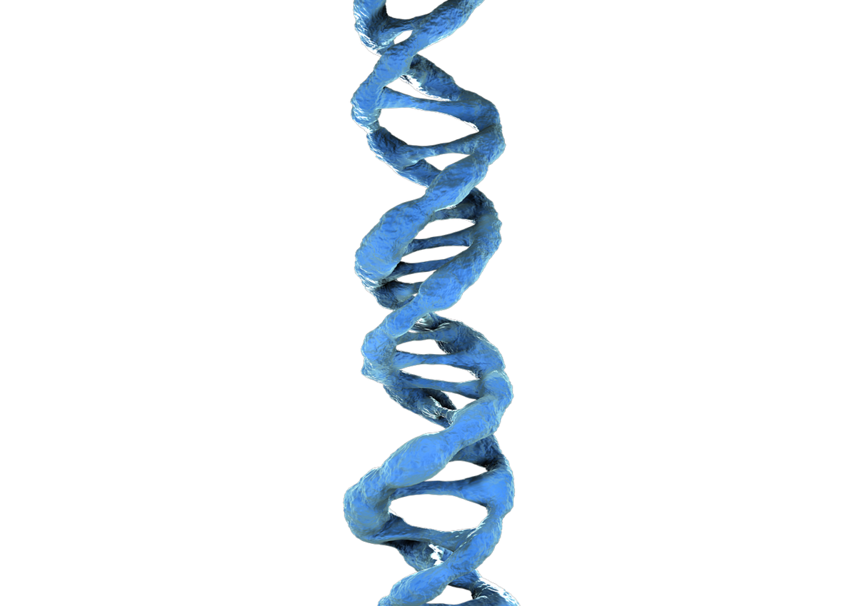 Adn 521. Цепочка ДНК DNA. ДНК на белом фоне. ДНК на прозрачном фоне. Ген без фона.