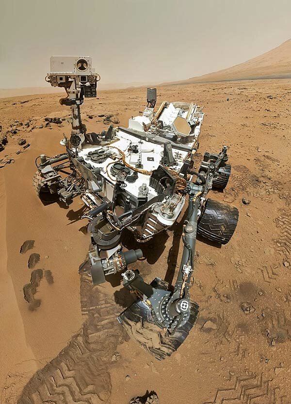 Кстати, вот он, красавчик, на селфи