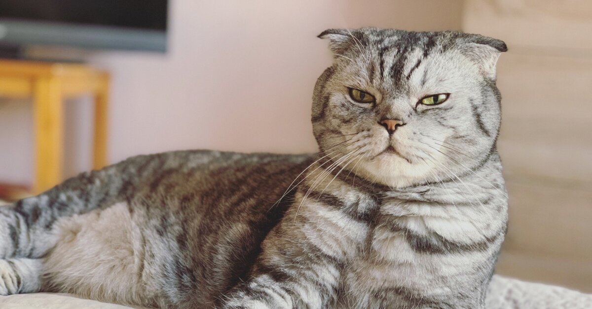 фото использовано в качестве иллюстрации. Источник "Яндекс.Картинки"