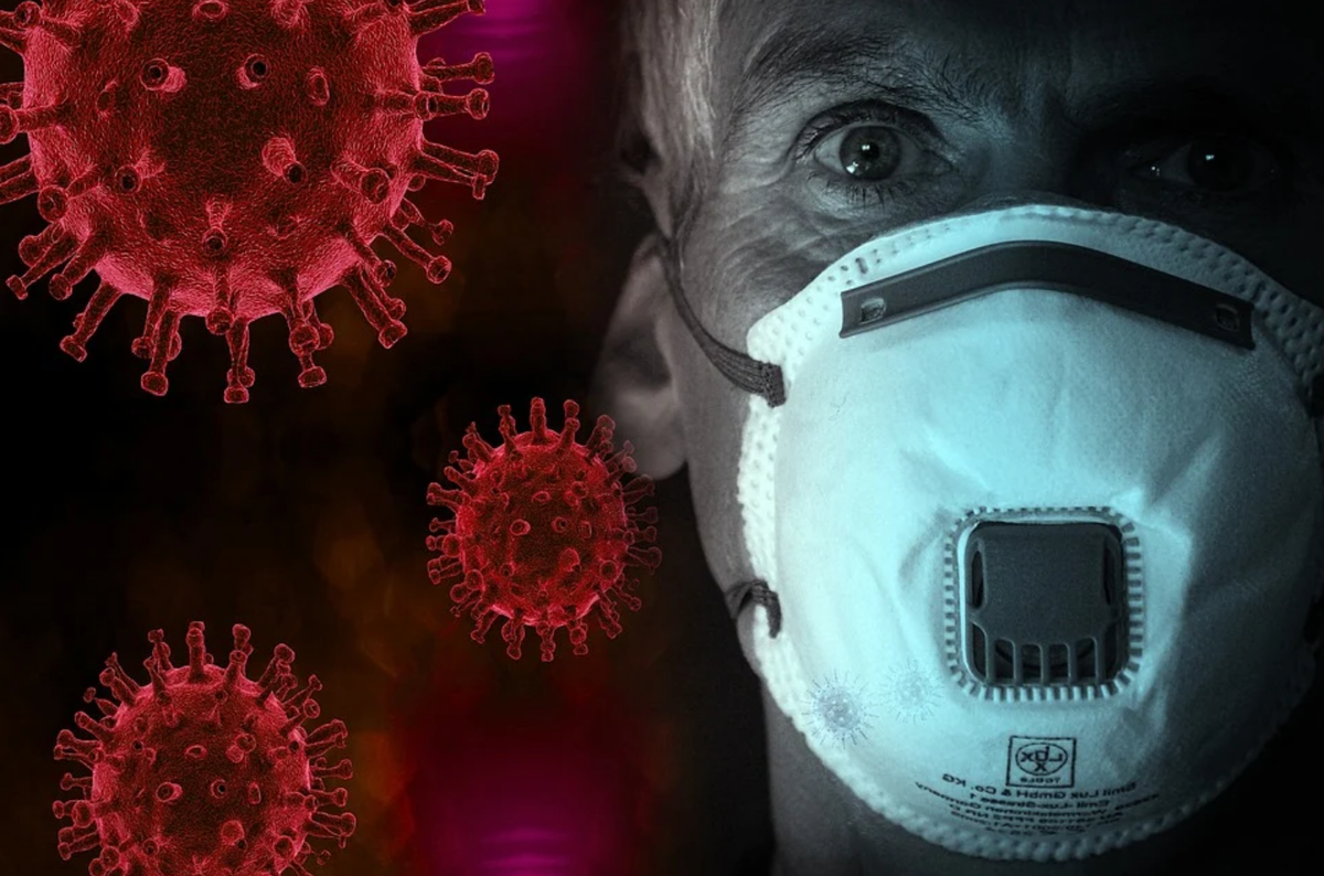 источник pixabay.com