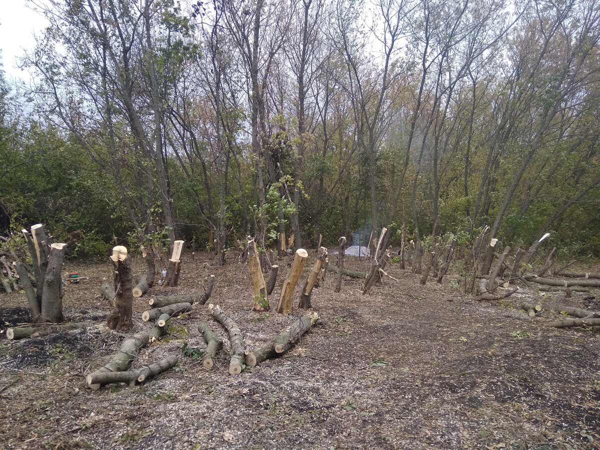 Общий вид фронта работ