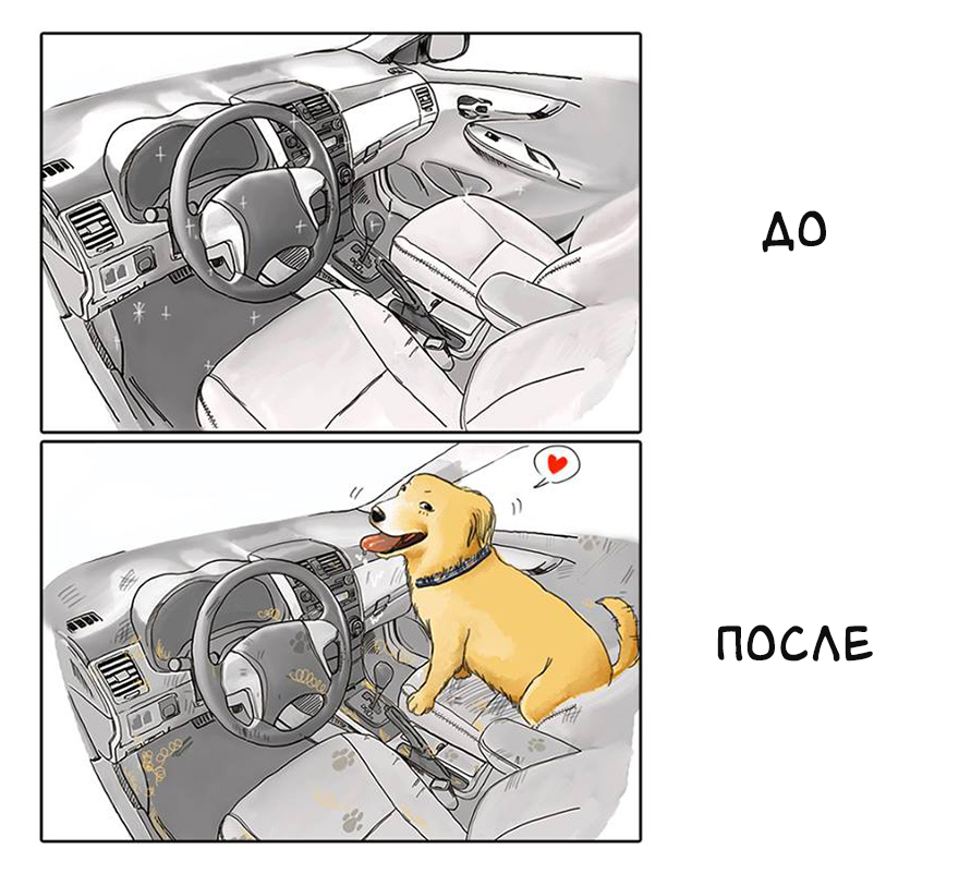 Яндекс. Картинки.