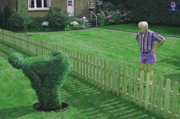 Дружные соседи