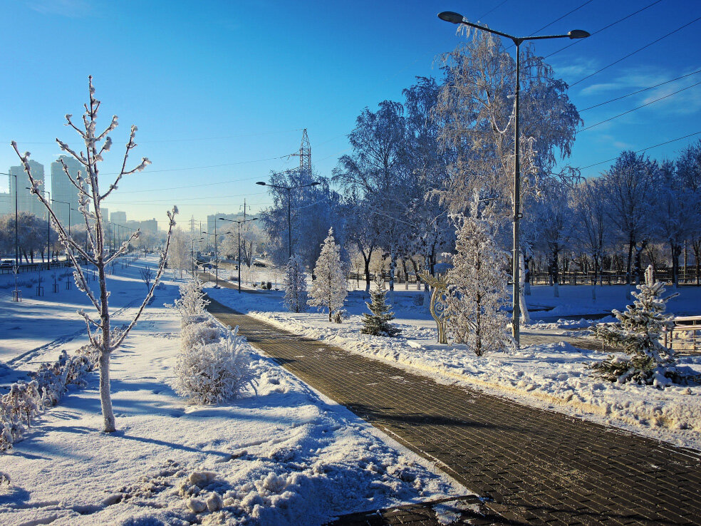 Парк гагарина в самаре зимой