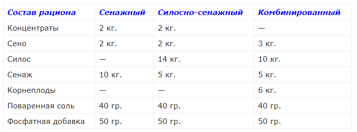 Откорм бычков на мясо: пошаговый бизнес-план, как вырастить бычка