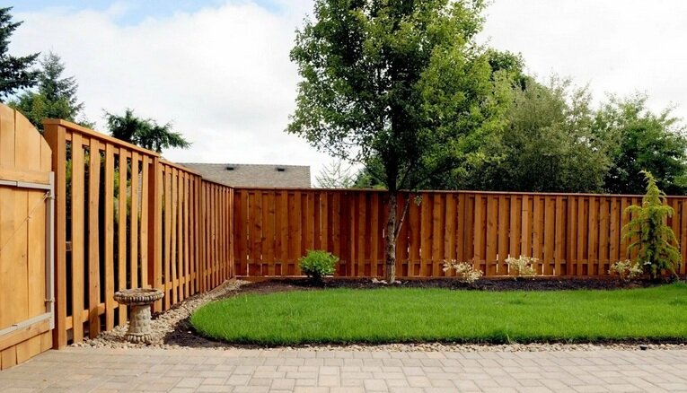 Фото взято из интернета