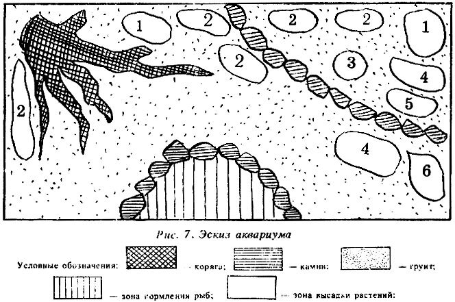 Голландский аквариум схема