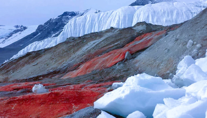 Антарктида