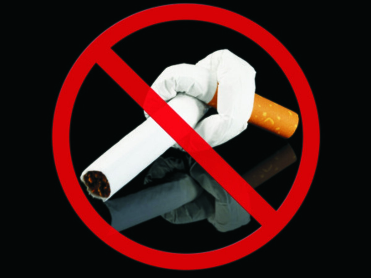 Изображение из открытого доступа с интернета