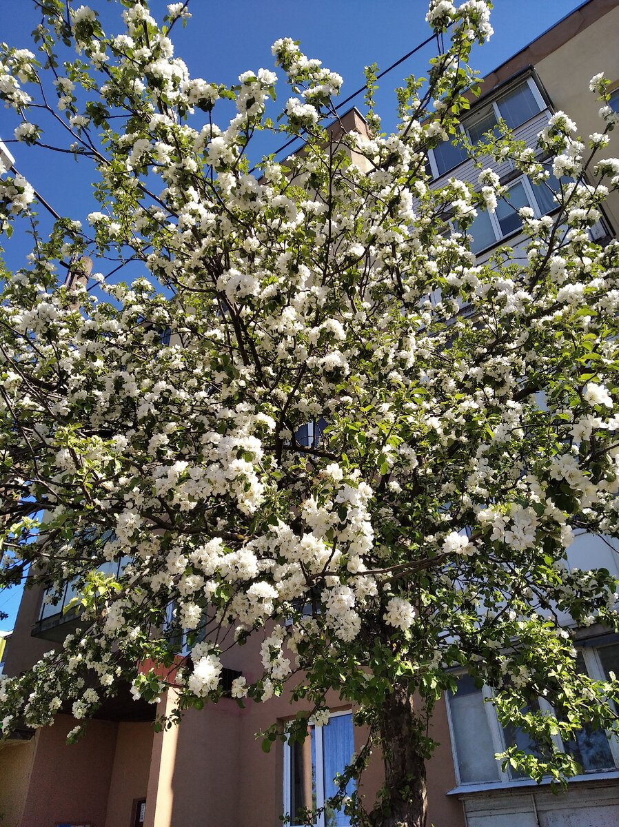Фото автора, сделанное со время участия в марафоне "Санаторий для оптимистов"