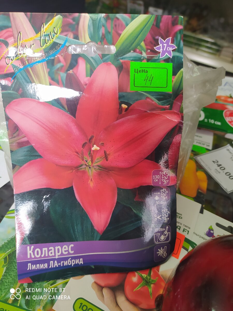 Лилия Коларес