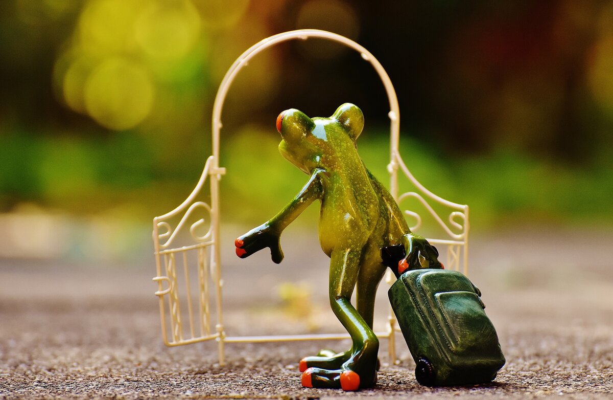Картинка с pixabay