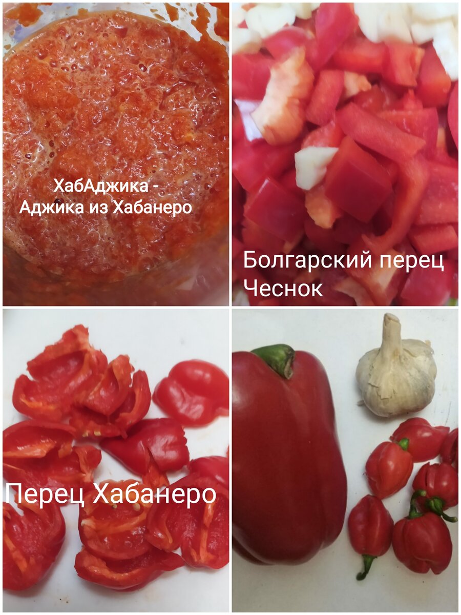 ХабАджика - моё оригинальное название аджики из острого перца Хабанеро