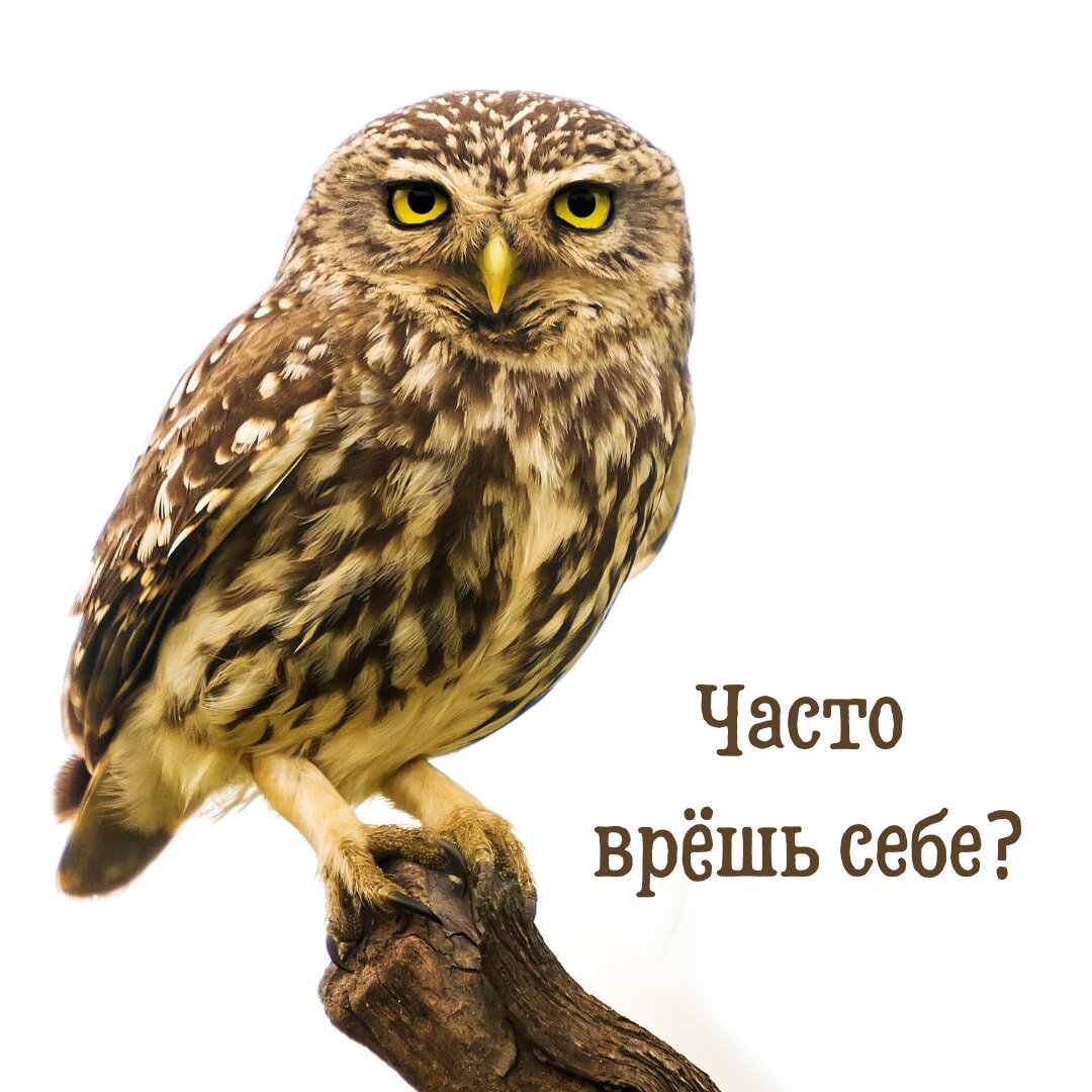 Для чего ты это делаешь?
⠀

⠀
Бывало ли у тебя такое чувство, что вроде делаешь всё, как надо, а ощущение по жизни, что находишься не в своей тарелке, не на своём месте. И где она эта твоя тарелка не понятно вообще. Тяжко.
⠀
Такая ситуация не редкость. И всё от того, что человек не понимает, а чаще не пытается понять, что он сам хочет от своей жизни. Не потому, что он глупый, не умеет достигать своей цели, безответственный. Вовсе нет. Просто он живет чужими целями. И потому несчастлив.
⠀
Ситуация, когда человек что-то делает по жизни только для того, чтобы получить чьё-то одобрение, расположение, любовь, изначально обречена на провал.
⠀
У такого человека нет собственной цели, за исключением цели понравиться кому-то. И достигает он высот не потому что ему это нравиться, а потому, что эти самые высоты нравятся тому, от кого требуется одобрение.
⠀
«Что люди скажут?»
⠀
Признайся, сколько раз в жизни эта фраза оказывалась решающей и ты отказывался от того, что очень хотелось сделать.
⠀
В таком состоянии сублимированного благополучия живут очень многие. Ложная жизнь, ложные стремления, ложные ожидания становятся системой и входят в привычку. Жить так, как надо. Как вроде все живут. И сто лет до нас жили. Выйти из него очень сложно. А для кого-то невозможно.
⠀
Потому что для того, чтобы задать себе вопрос - «а что я хочу на самом деле?» - требуется мужество, осознанность и сила воли. Жить в согласии со своим внутренним счастливым огонёчком, независимо от того, понравится это кому-то или нет.
⠀
Начни прямо сегодня. Спроси себя «Где я вру самому себе?». Маленький, смелый шажочек к счастливой жизни.