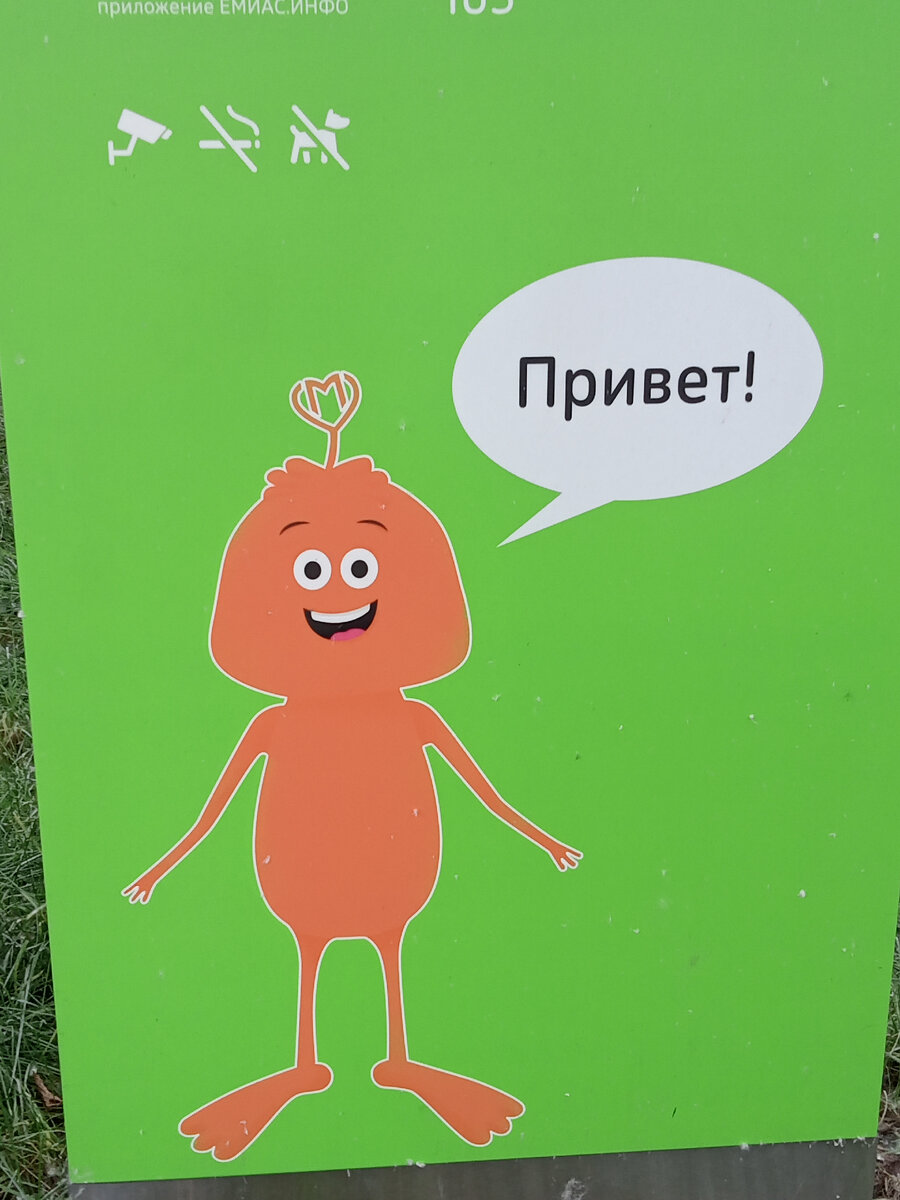 Фото автора. Не знаю что-это-кто-это, но это на штуке, напротив детской поликлиники. 😁