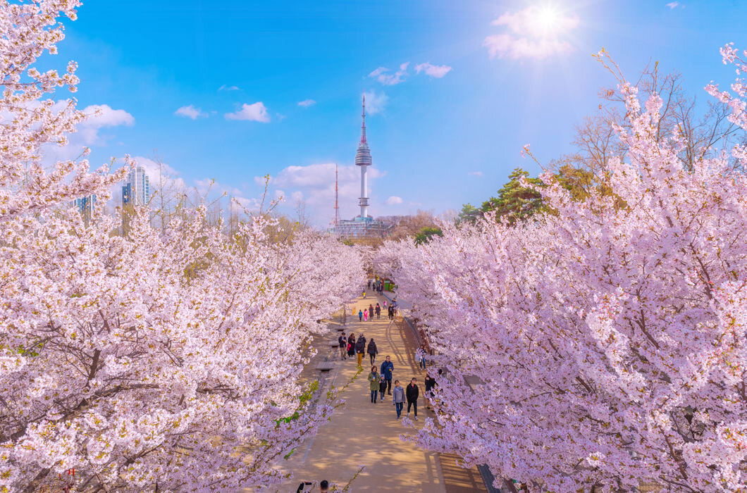 Южная Корея в Апреле. Взято с https://24warez.ru/main/photo/1157537771-yuzhnaya-koreya-fotoproekt-o-s.html