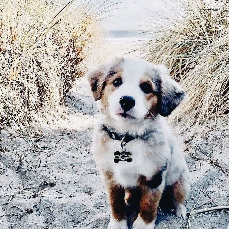 Вы только посмотрите на это мраморное чудо!