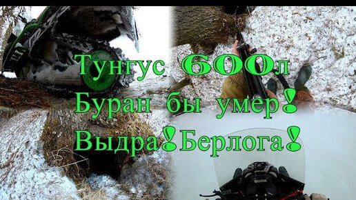 Тунгус 600,тяжелый сырой снег,берлога,выдра.