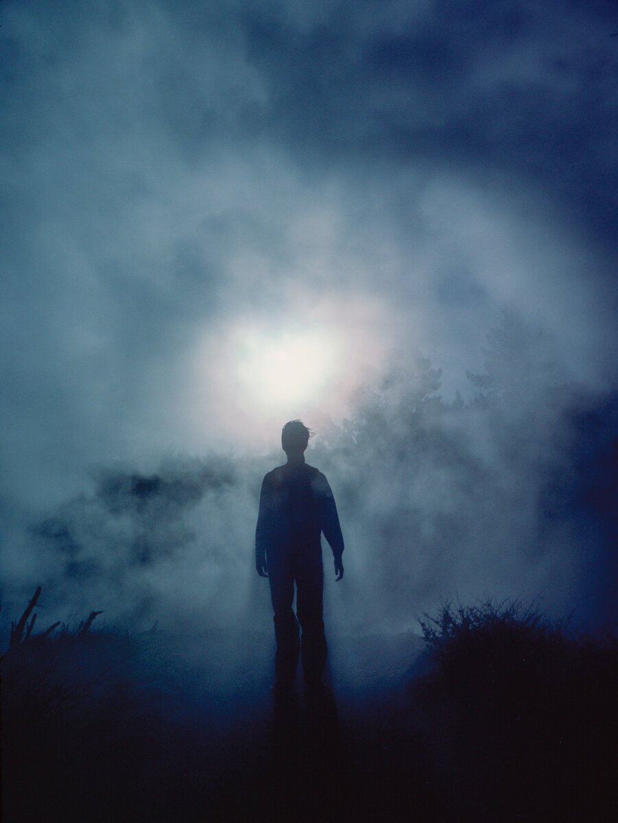 Фото с просторов интернета 