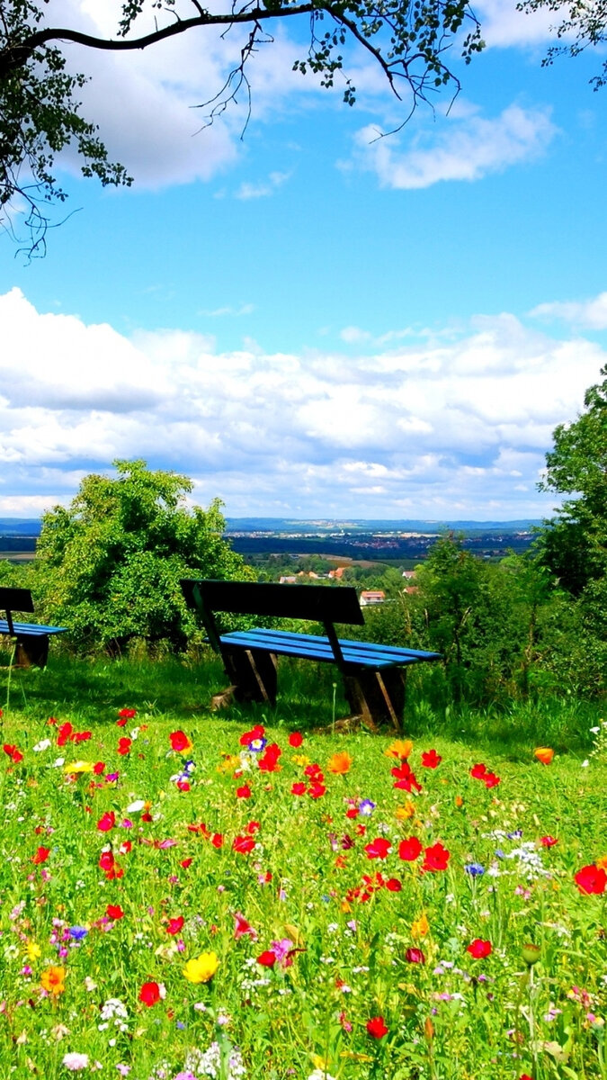 Из свободного источника Интернет 