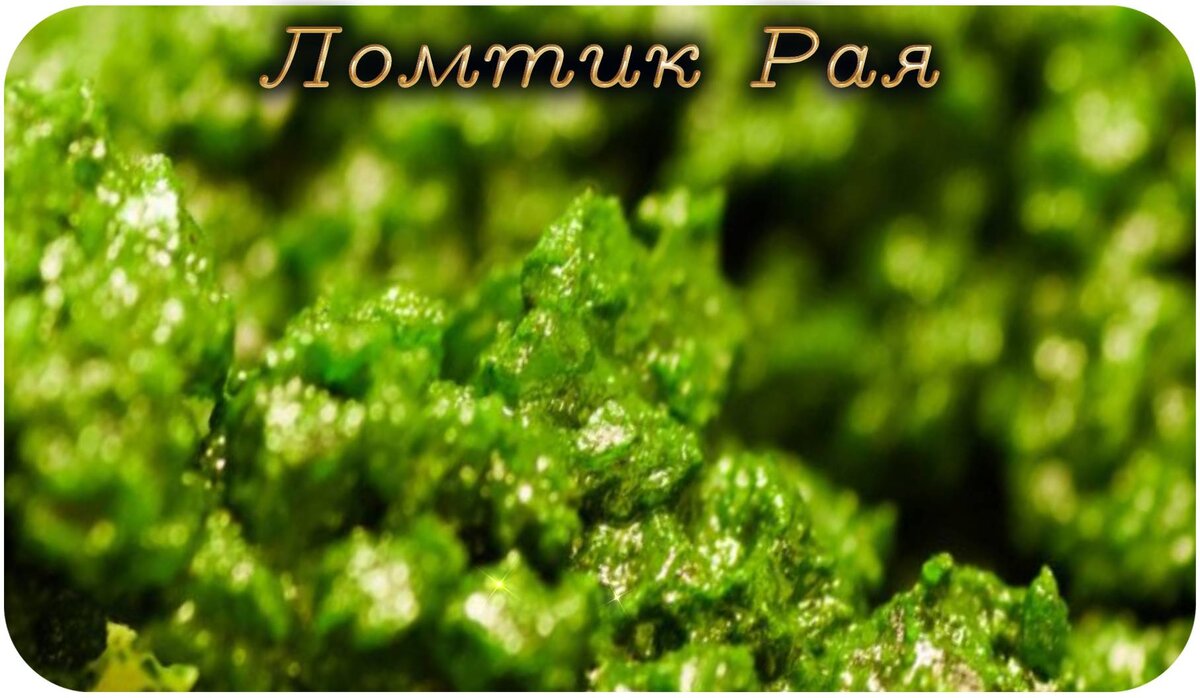 потенциал водорослей